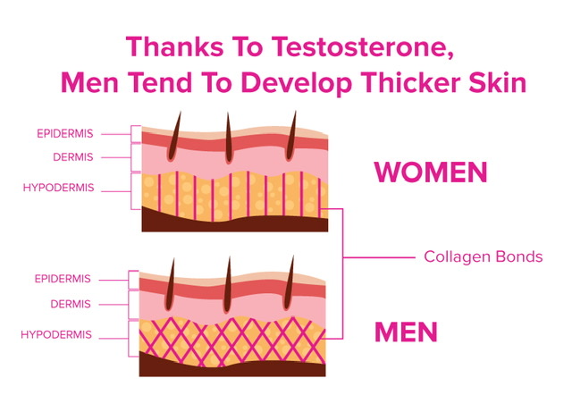 Difference in men and women’s skin