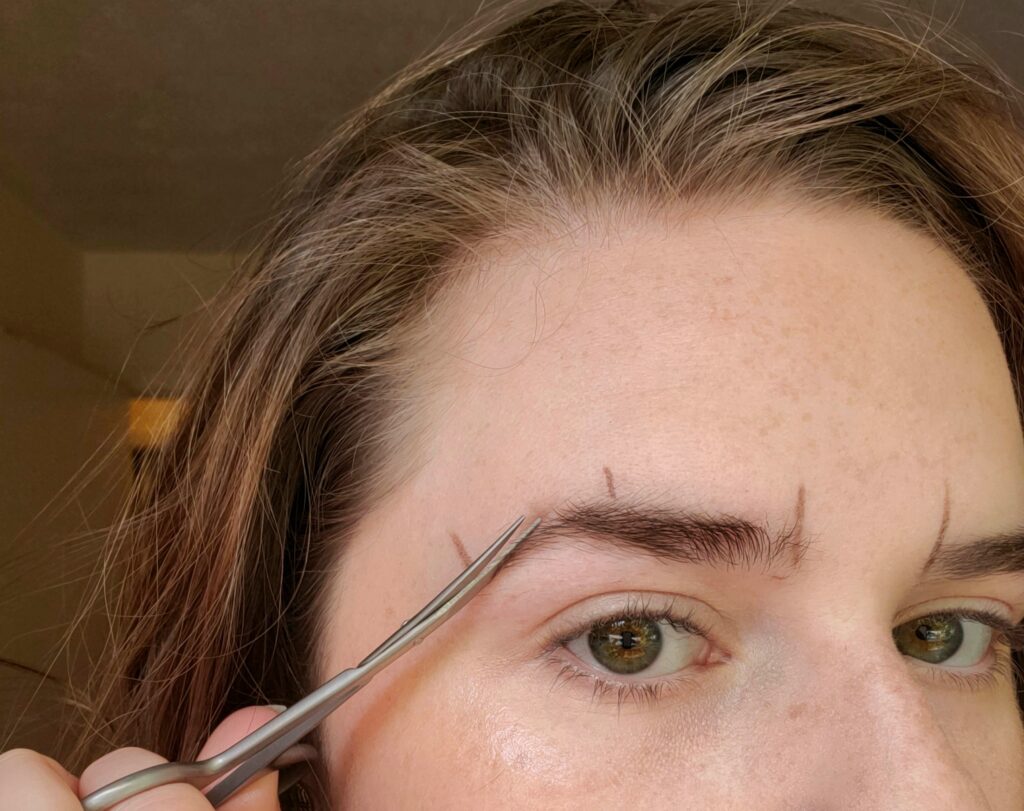 Trimming tail of brows for grooming